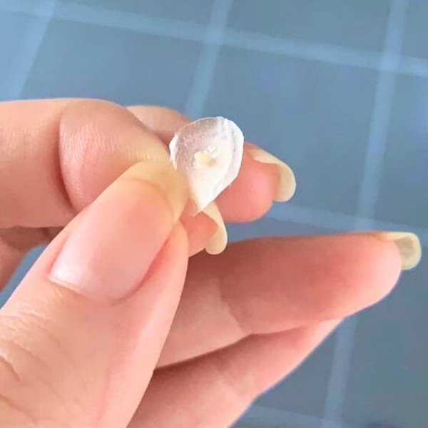 Do pimple patches actually work? How to tell if a pimple patch is working, with a whitehead clearly shown on the patch for blemishes