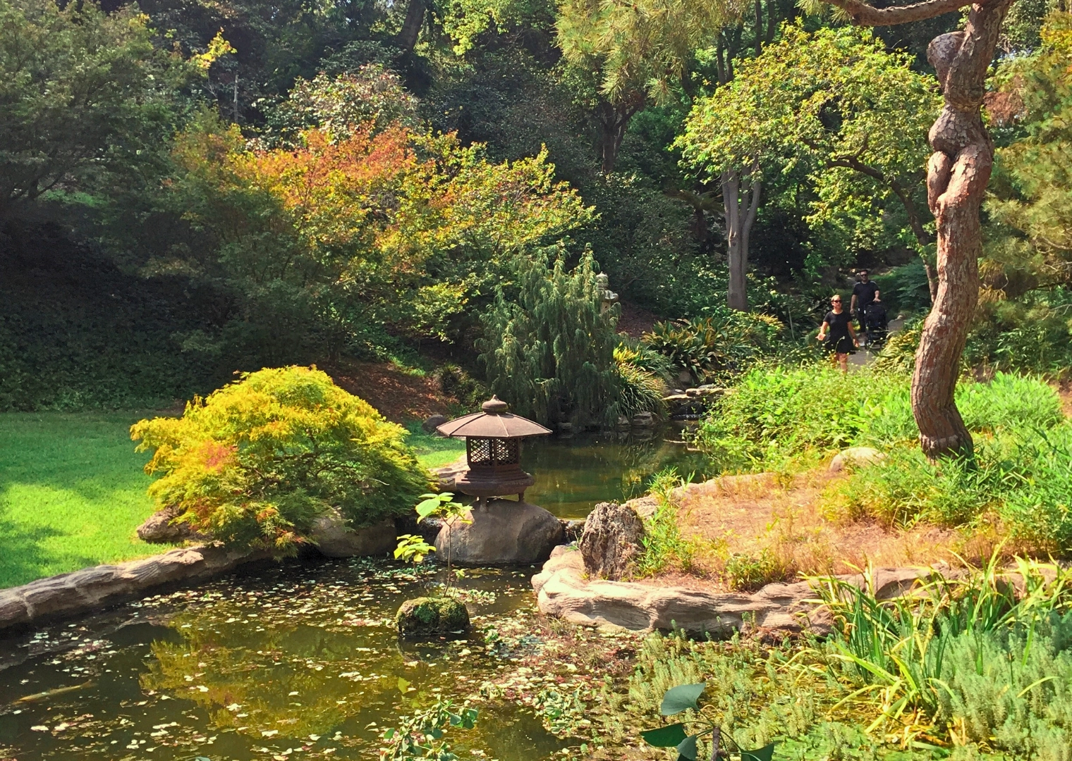 6 Japanese Concepts for a Fulfilling Life | Philosophies and Mindsets for Everyday Living